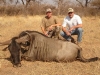 david_blue_wildebeest