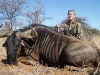 leah_bland_blue_wildebeest