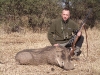 emilio_occhialini_warthog