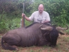 shane_bluewildebeest